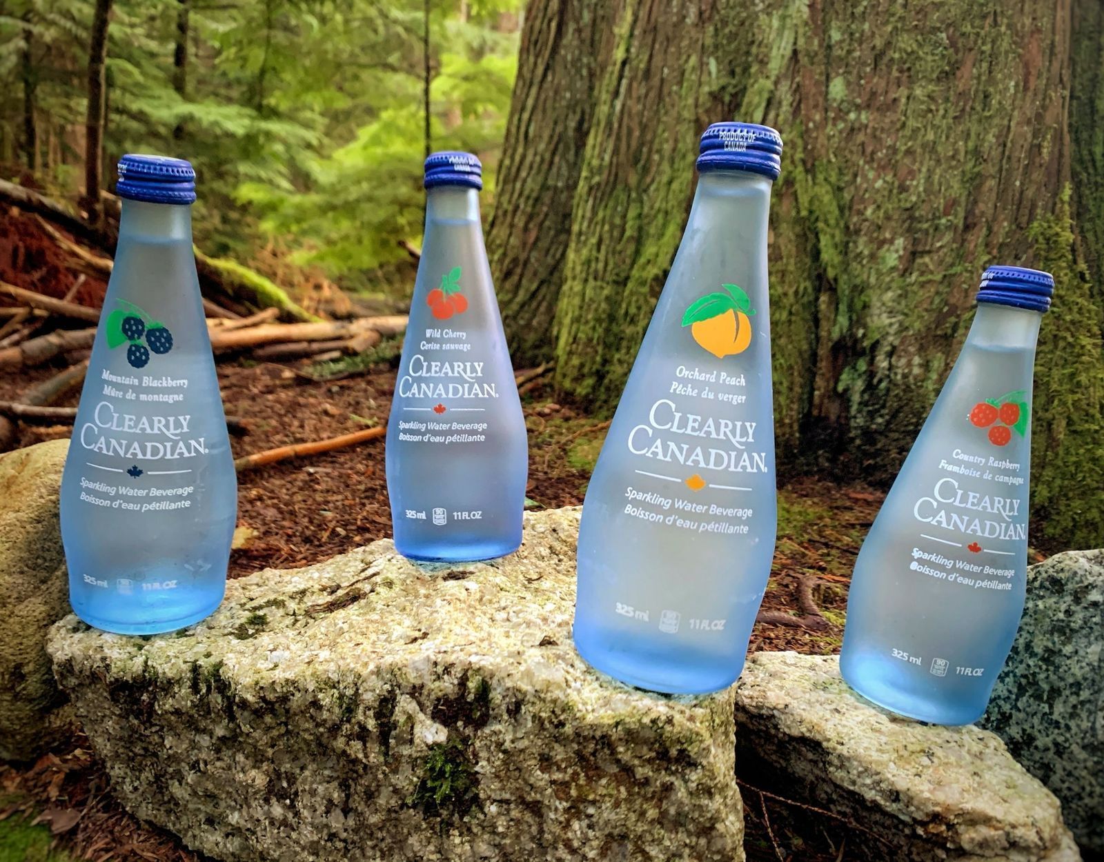Clearly Canadian - Four 325ml Bottles of All Four Flavours In the Forest
