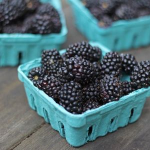 Three Small Baskets of Blackberries