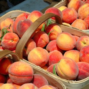 Handbaskets of Peaches