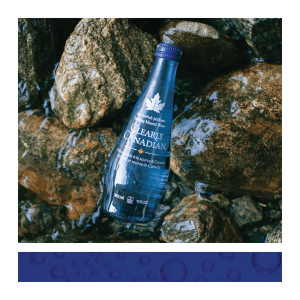 Clearly Canadian Sparkling Mineral Water Bottle 325ml in Front of Rocks