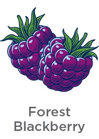 Forest Blackberry